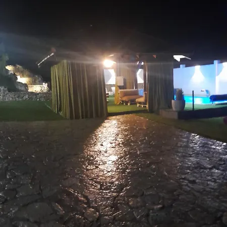 فيلة Panorama *